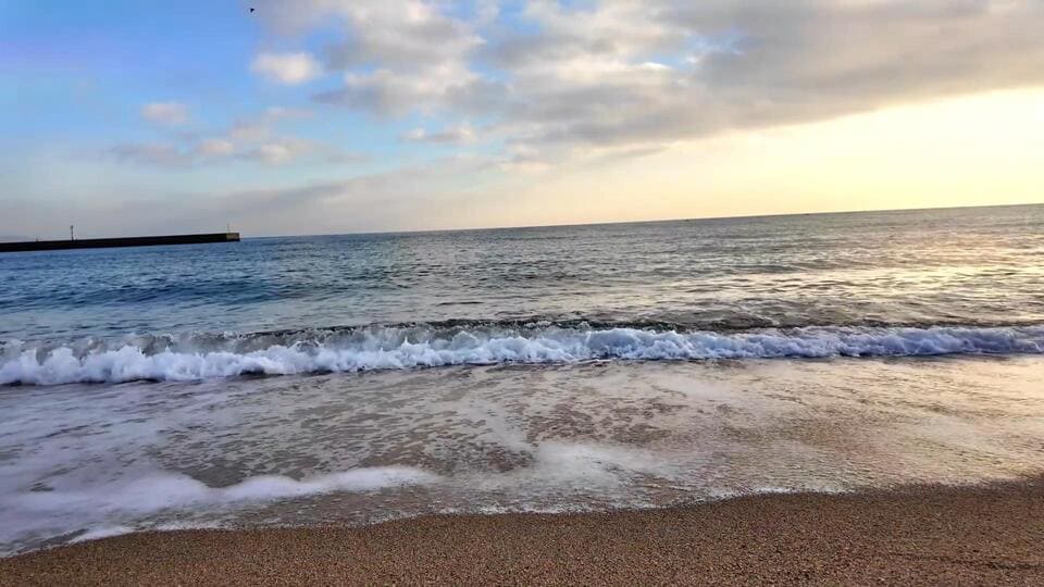 砂浜の風景