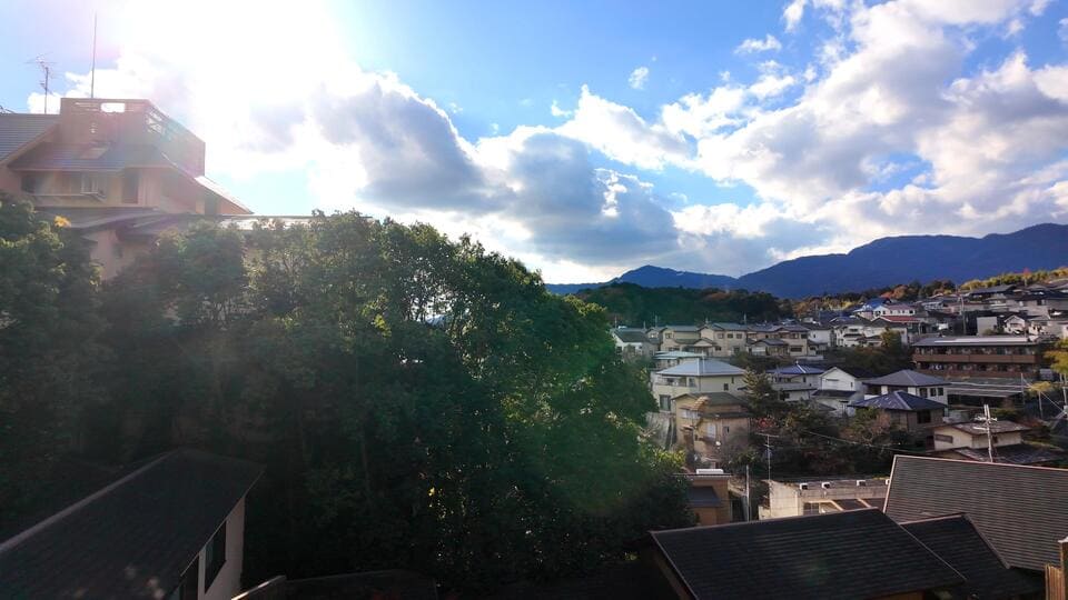 客室からの眺め