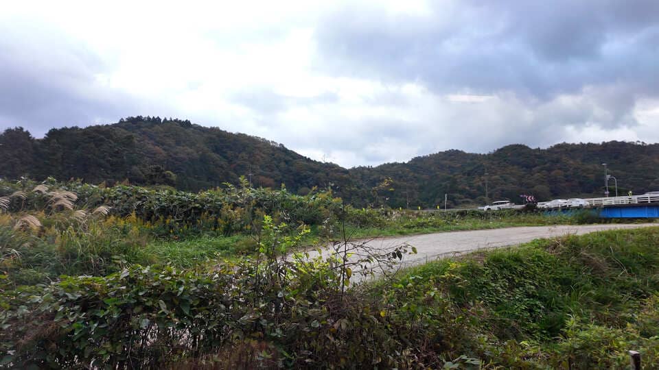 窓からの景色